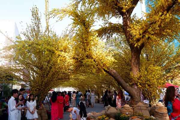 Một số địa điểm chụp hình Tết sớm nhất tại Sài Gòn