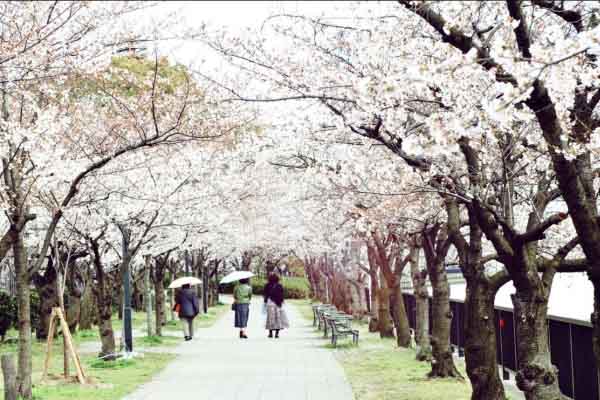 Việt Nam sẽ giới thiệu du lịch tại 3 thành phố lớn của Nhật Bản