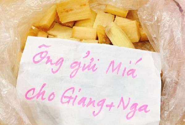 Xúc động trước tình cảm ông ngoại dành cho các cháu