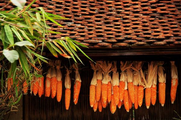 Đường Lâm – Có một ngôi làng đưa ta về miền ký ức