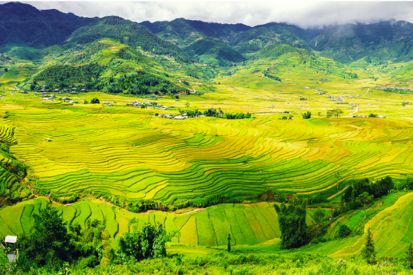 Vùng sơn cước bình yên mang tên Tú Lệ