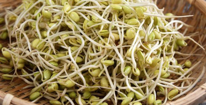 Khám phá bất ngờ về giá đỗ: “Vitamin của tình yêu”