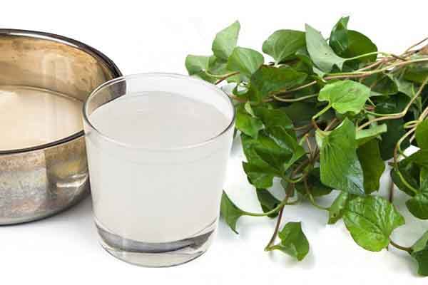 Hướng dẫn trị sẹo thâm bằng rau diếp cá