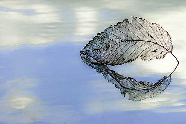 Sống đẹp: Hiền lành và kiên định