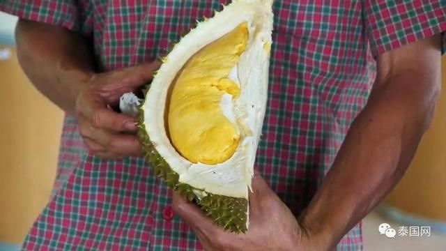 Sầu riêng không mùi khiến nhiều người thích mê