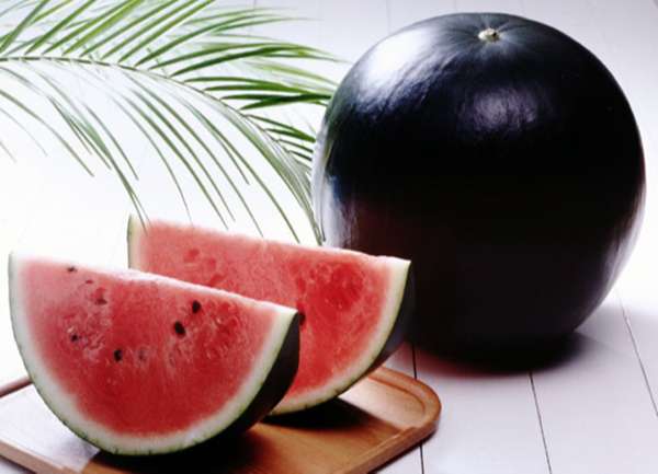 Những loại quả đẹp mắt, đắt tiền ở Nhật Bản