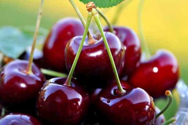 7 công dụng “thần kỳ” của cherry mà bạn không thể bỏ qua