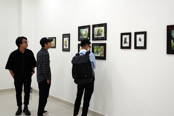 ‘Thức | AWAKE’ – Một triển lãm tranh minh họa của họa sĩ Jeet Zdung về bảo tồn động vật hoang dã