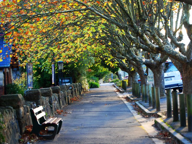 Quê hương là gì hở mẹ? Kỳ 61: Tản mạn ngày cuối năm