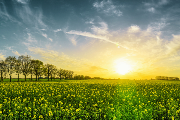 Ý Nghĩa Bí Ẩn Của Ngày Hạ Chí Trong Các Nền Văn Hoá