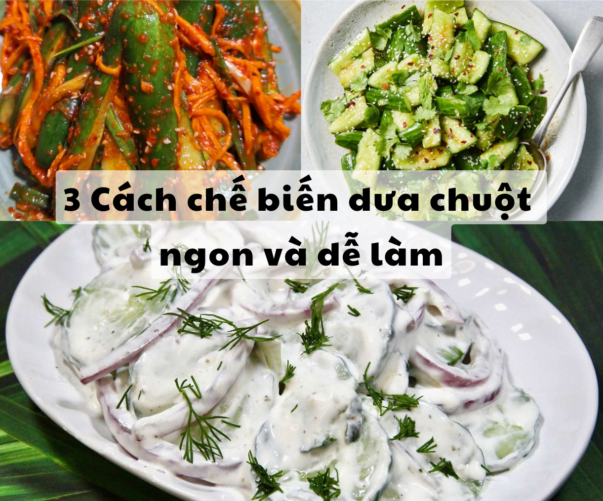 3 cách chế biến dưa chuột ngon và dễ làm