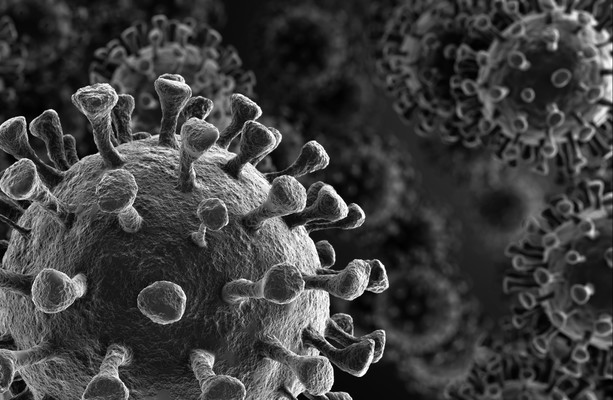 Cách phòng lây nhiễm virus nCoV tại nơi làm việc (theo hướng dẫn của bộ Y tế và WHO)