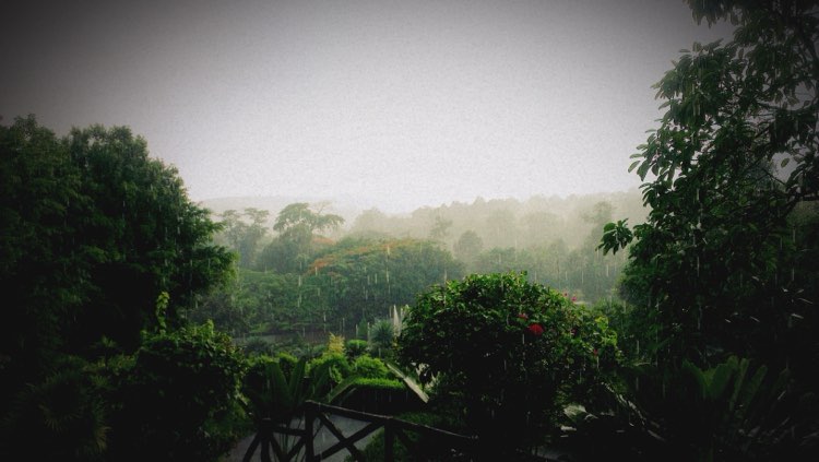 Tìm về thiên nhiên vẫn lên ngôi trong xu hướng du lịch hè 2024