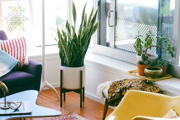 Mẹo đơn giản làm mới không gian sống