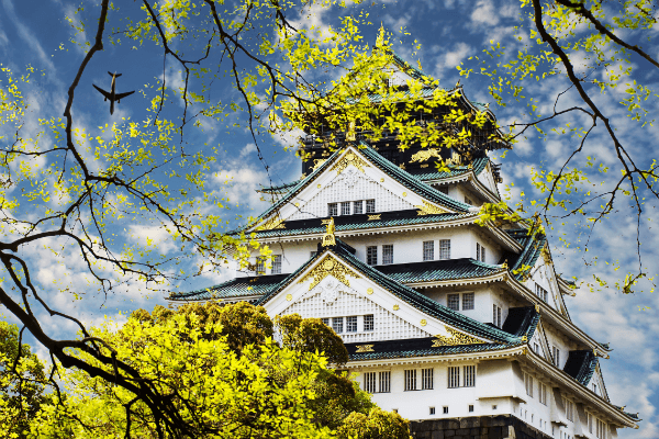 Nhật Bản – nơi có những mô hình kinh doanh đặc sắc nhất