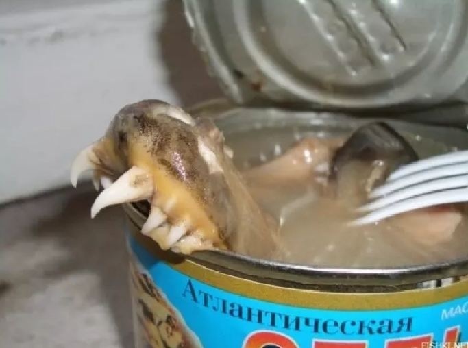 Món ăn kinh dị bạn nên thử khi đi xem World Cup tại Nga