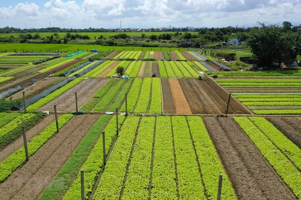 5 ý tưởng canh tác đất “thông minh” giúp chống biến đổi khí hậu
