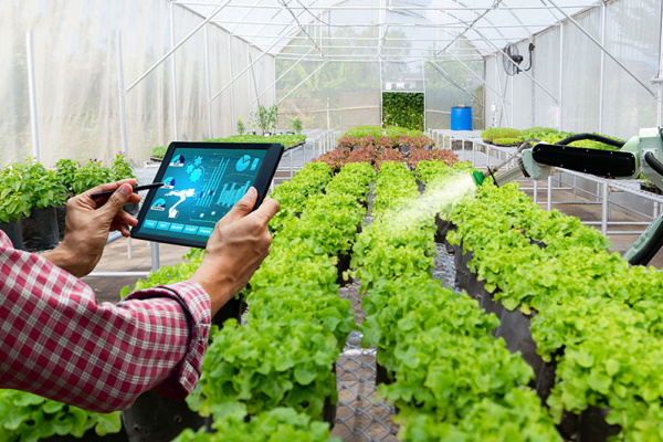 Nông nghiệp của tương lai: Cuộc cải cách của công nghệ (Phần 2)