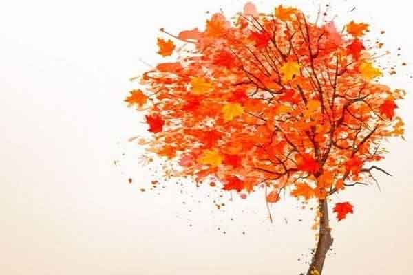 ‘Ân ái chuyển mùa’ lát cắt thời gian