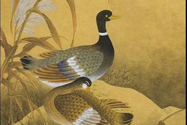 Vịt nằm bờ mía