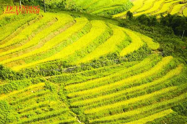 Sa Pa mùa nào cũng đẹp