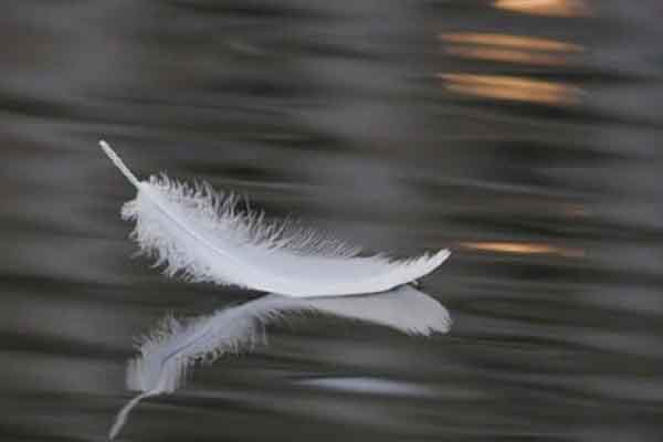 Âm thanh của im lặng – Tùy bút Võ Thiện Thanh