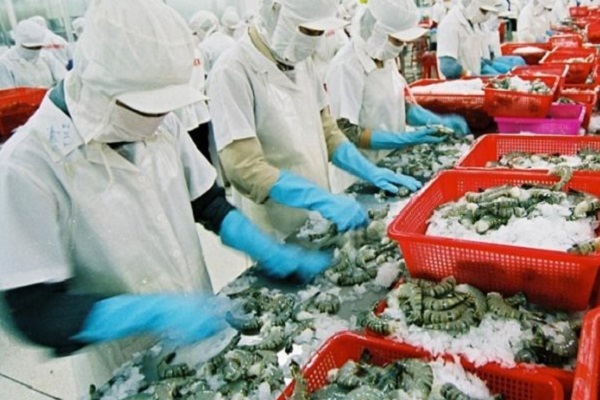 Doanh nghiệp cần vắc xin để sản xuất