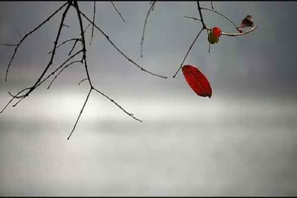 Bóng tối cuộc đời phía sau câu thơ ‘Nỗi nhớ mùa đông’