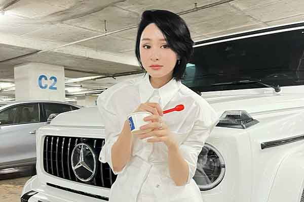 Hiền Hồ và loạt thị phi để đời