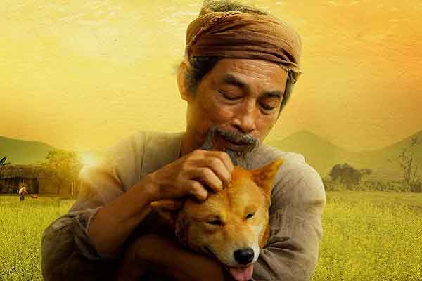 Lỗ 20 tỷ, phim ‘Cậu Vàng’ ngậm ngùi rút khỏi rạp chiếu