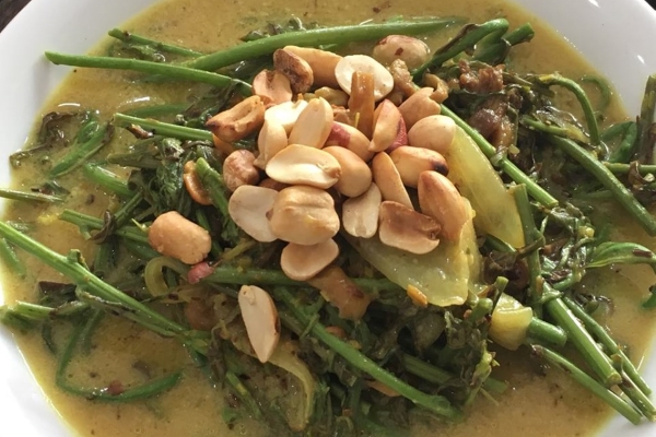 Ăn thuốc sống khỏe kỳ 2: Đọt choại um nước cốt dừa