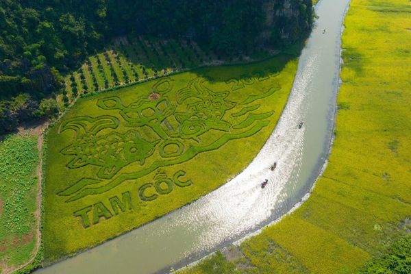 Mùa vàng Tam Cốc: Khám phá ý nghĩa sâu sắc của bức tranh ‘Lý ngư vọng nguyệt’
