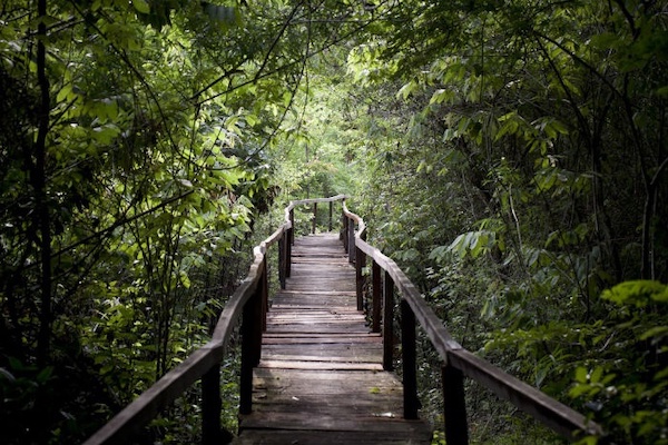 [BÀI KHÔNG ĐĂNG KÝ, TỰ VIẾT, BBT KHÔNG ĐỒNG Ý DUYỆT BÀI NÀY] – Trải nghiệm ‘tắm rừng’ Cát Tiên