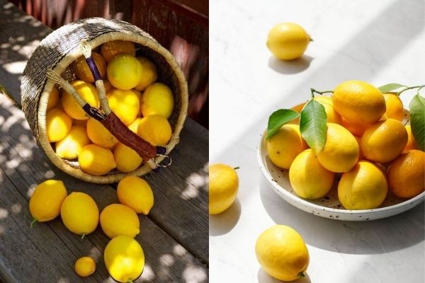 Bí kíp làm trắng răng nhanh chóng từ quả chanh