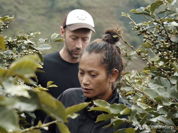 Câu chuyện tình yêu từ một trang trại cà phê