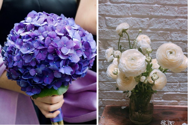 Những loại hoa độc đáo và ý nghĩa hút khách dịp 20/10