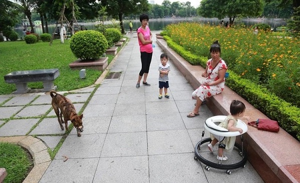 8 lưu ý cần biết khi nuôi chó trong nhà