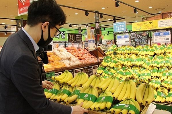 Hàn Quốc khó trồng chuối, cơ hội lớn cho Việt Nam