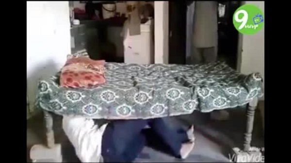 Con với chả cái, đến bố mà cũng troll thế này đây!