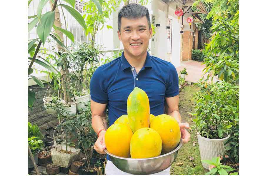 Công Vinh tươi rói khoe hái quả sai trĩu trong vườn nhà