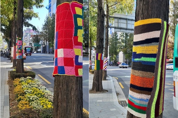 Mặc áo ấm cho… cây