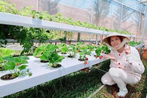 Lý Nhã Kỳ sắp kinh doanh du lịch vườn sinh thái