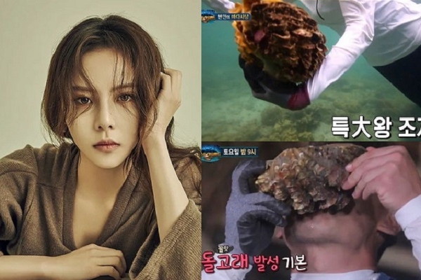 Sao nữ Hàn Quốc có thể ngồi tù vì ăn sò quý hiếm trong sách Đỏ