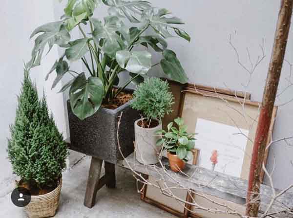 Bí mật của đất nước khiến người Việt nể phục: Không lo xa, ắt có họa gần!