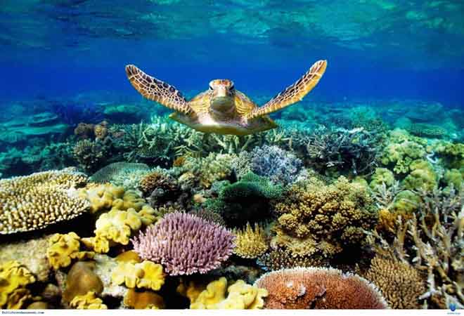 Top 4 bãi biển đẹp ngỡ ngàng cho bạn “check-in” dịp hè này