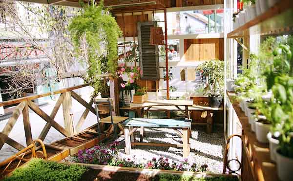 Quán cà phê rau xanh rất “cưng” ở Đà Lạt