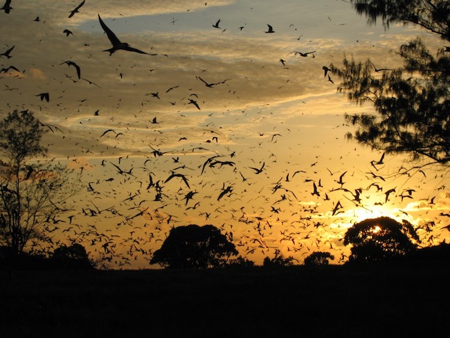 Thỏa thích tắm biển ở Seychelles mà không lo về visa