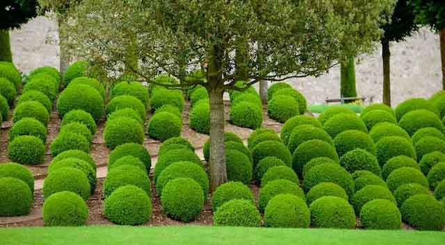 Thả mình vào gió giữa những đồi cát trắng tinh ở Bình Thuận