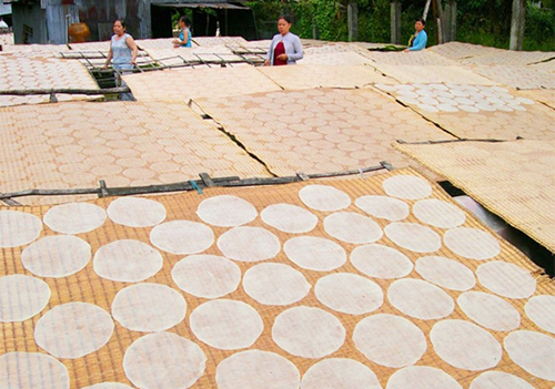 Thơm lừng hương vị quê hương với bánh tráng sữa Bến Tre