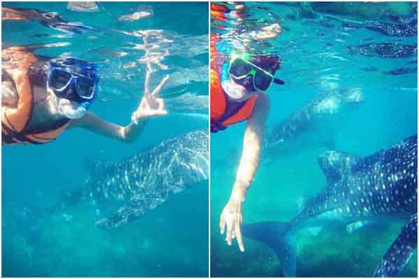 Phong cảnh thanh bình của Cebu, Philippines